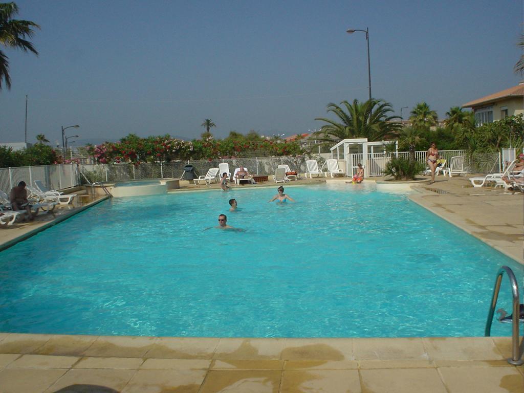 Hirondelle Port Fréjus